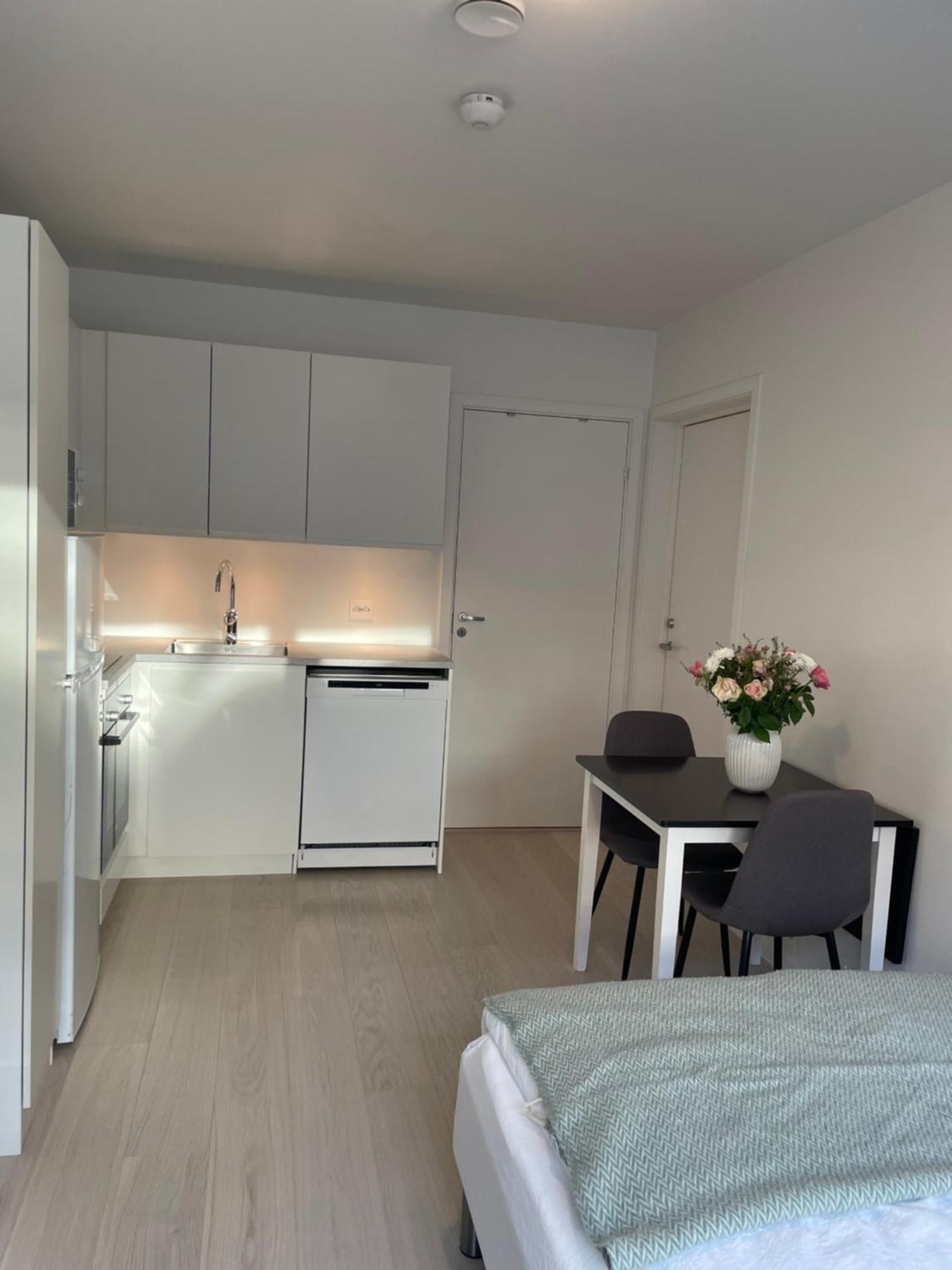 Nordheim Close To Sea Nature And Center Apartment Tromso