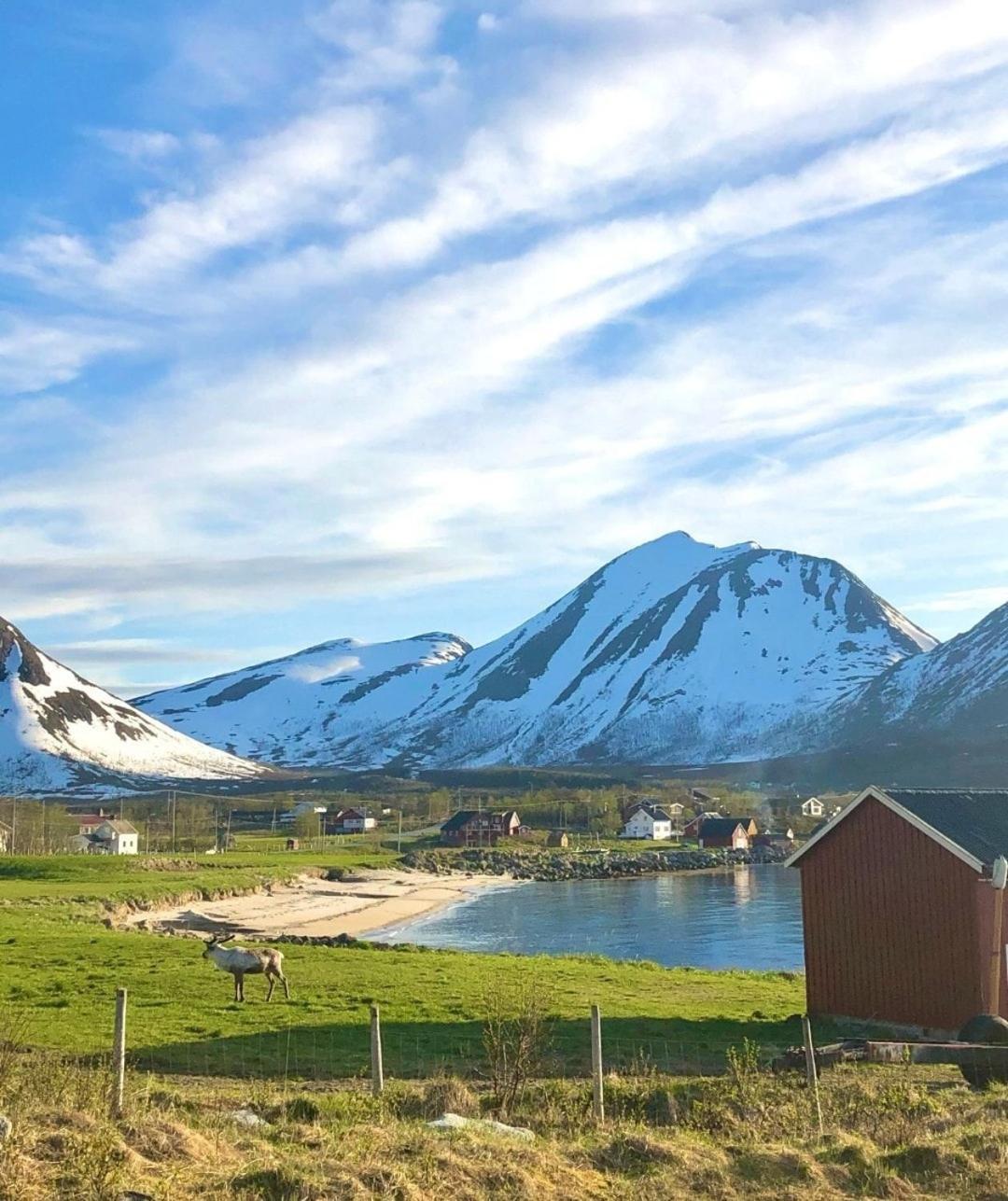 Aurora Tromvik * Tromso