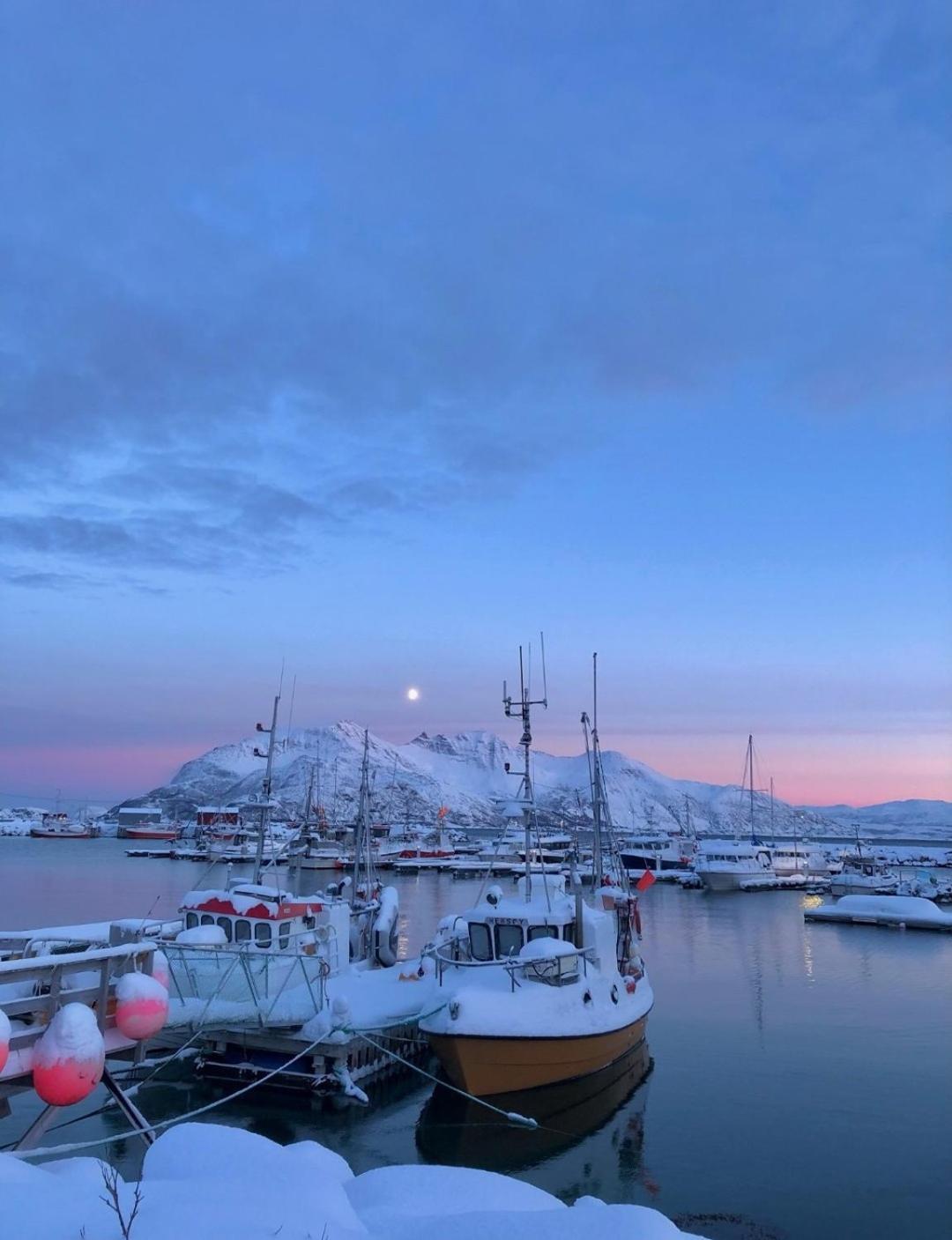 Aurora Tromvik Tromso