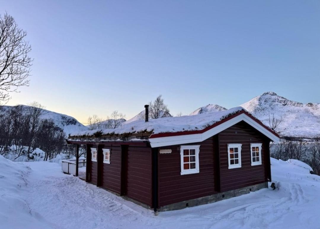 Aurora Tromvik *