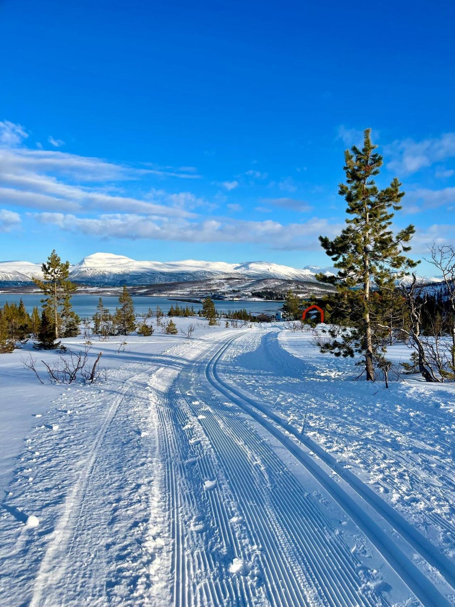 Artic Villa