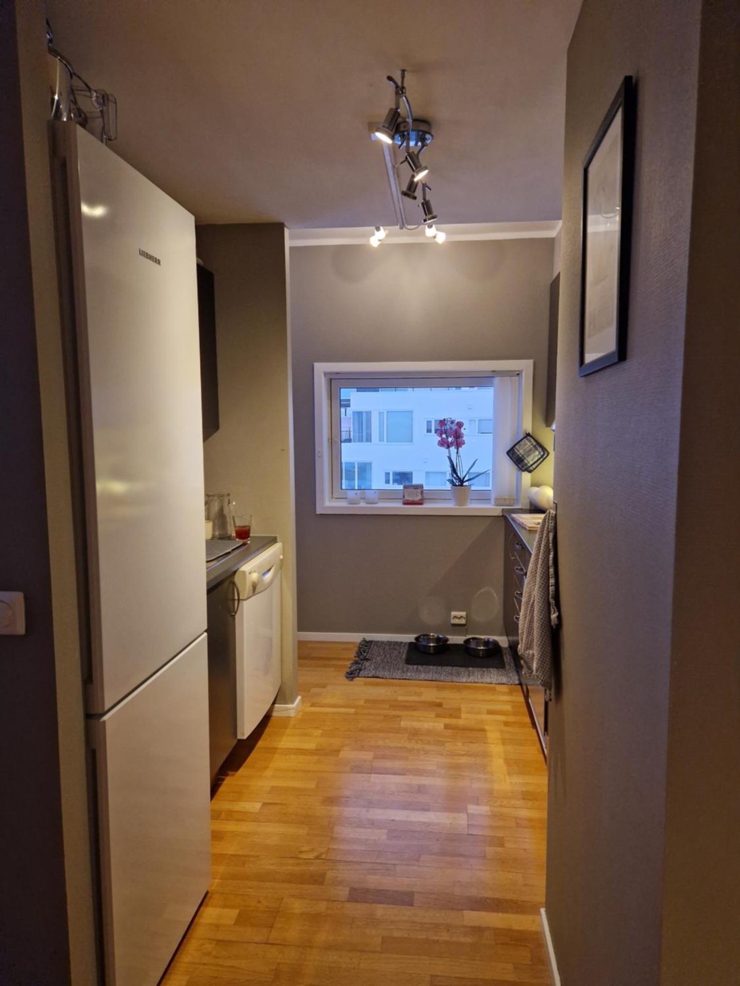 Apartment I Naerheten Av Telegrafbukta *