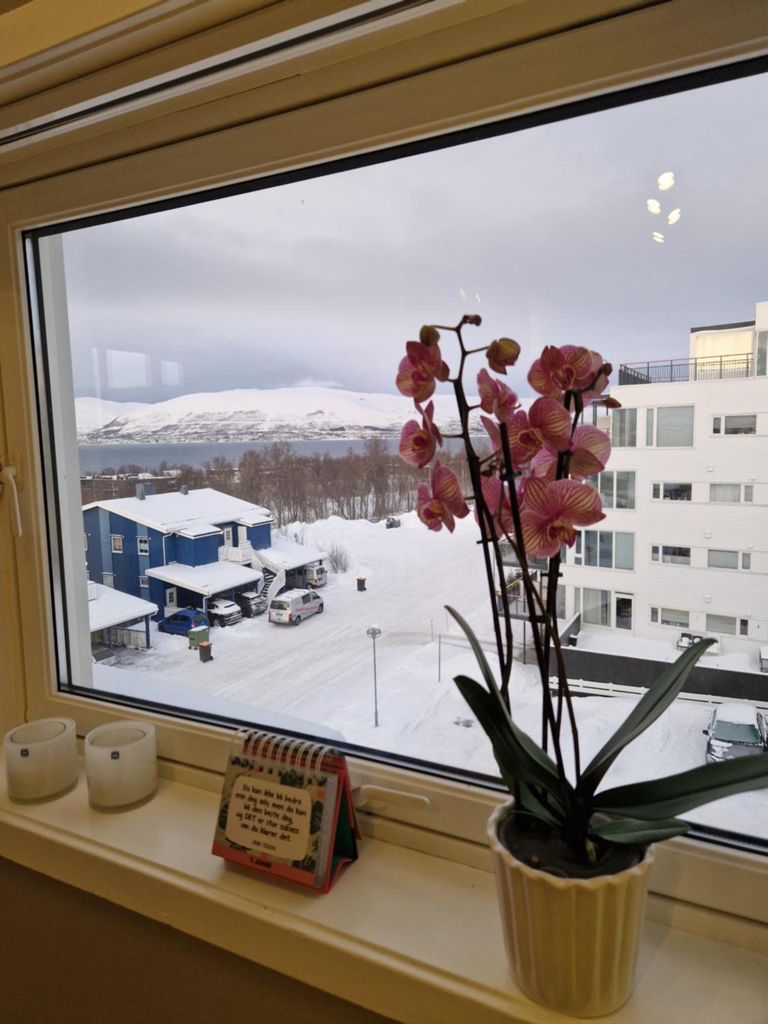 I Naerheten Av Telegrafbukta Apartment *