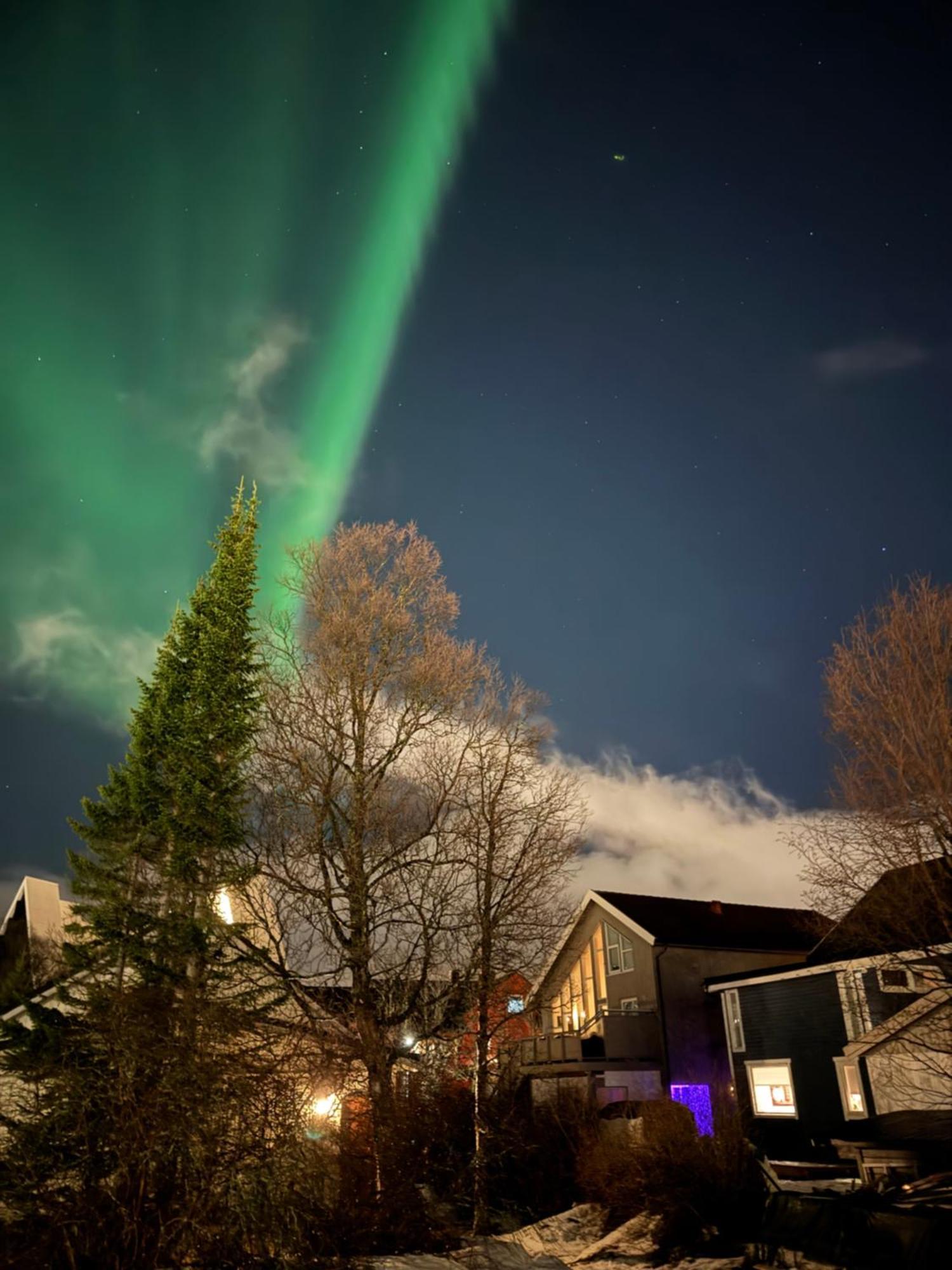 Luxury Vip Northern Lights Trip