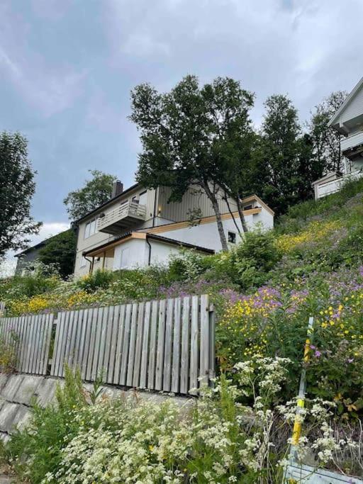 Penthouse With Panorama View And Great Location! Apartment Tromso