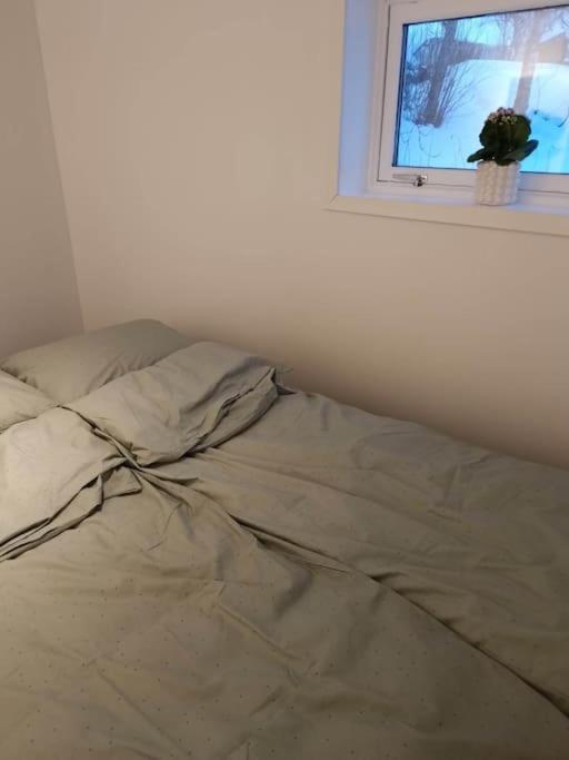 Cozy Close To Downtown Apartment *