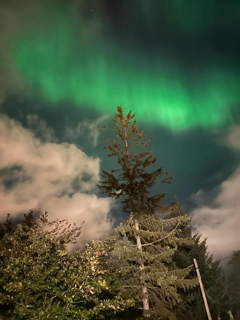 Near To Center Of * Tromsø