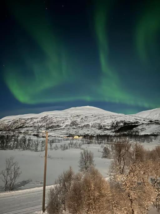 Apartment Aurora Borealis