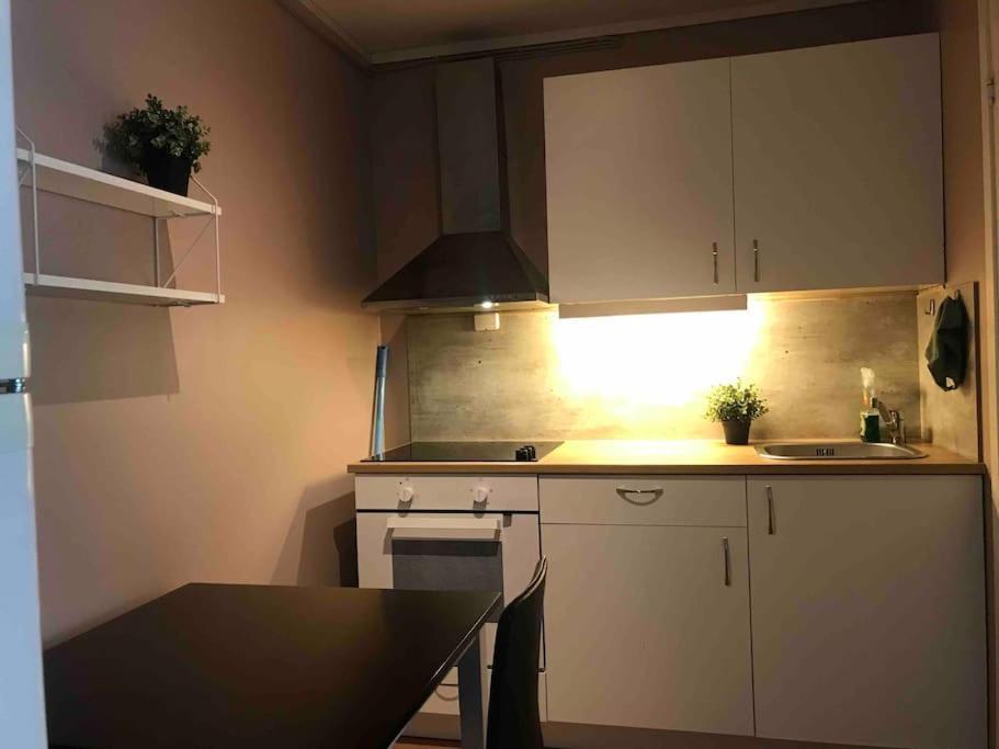 Apartment Aurora Borealis Tromsø