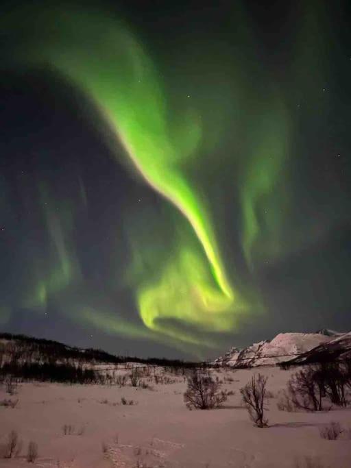 Aurora Borealis Apartment Tromsø