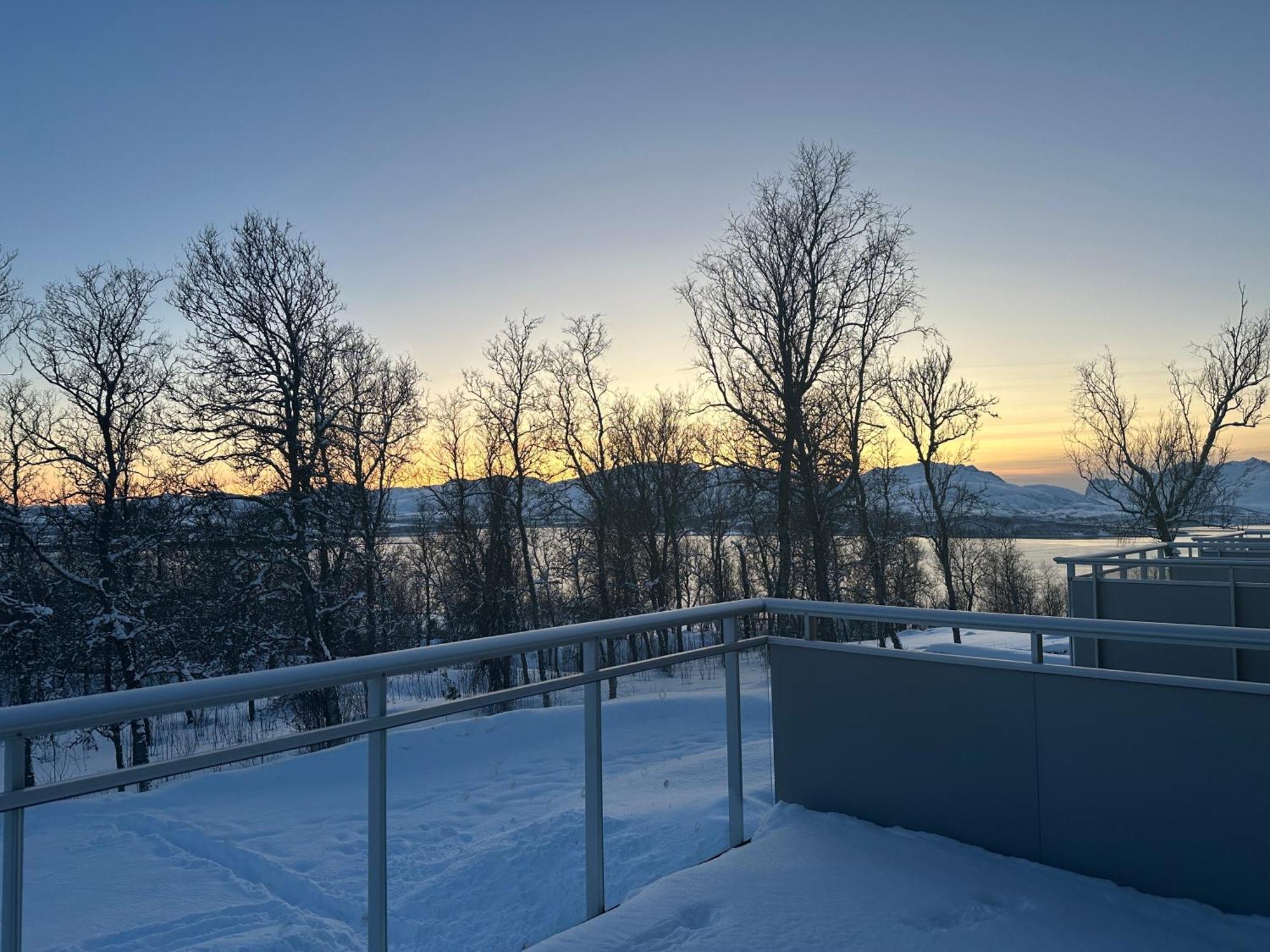 Apartment Beautiful View With A Walking Distance To Everything