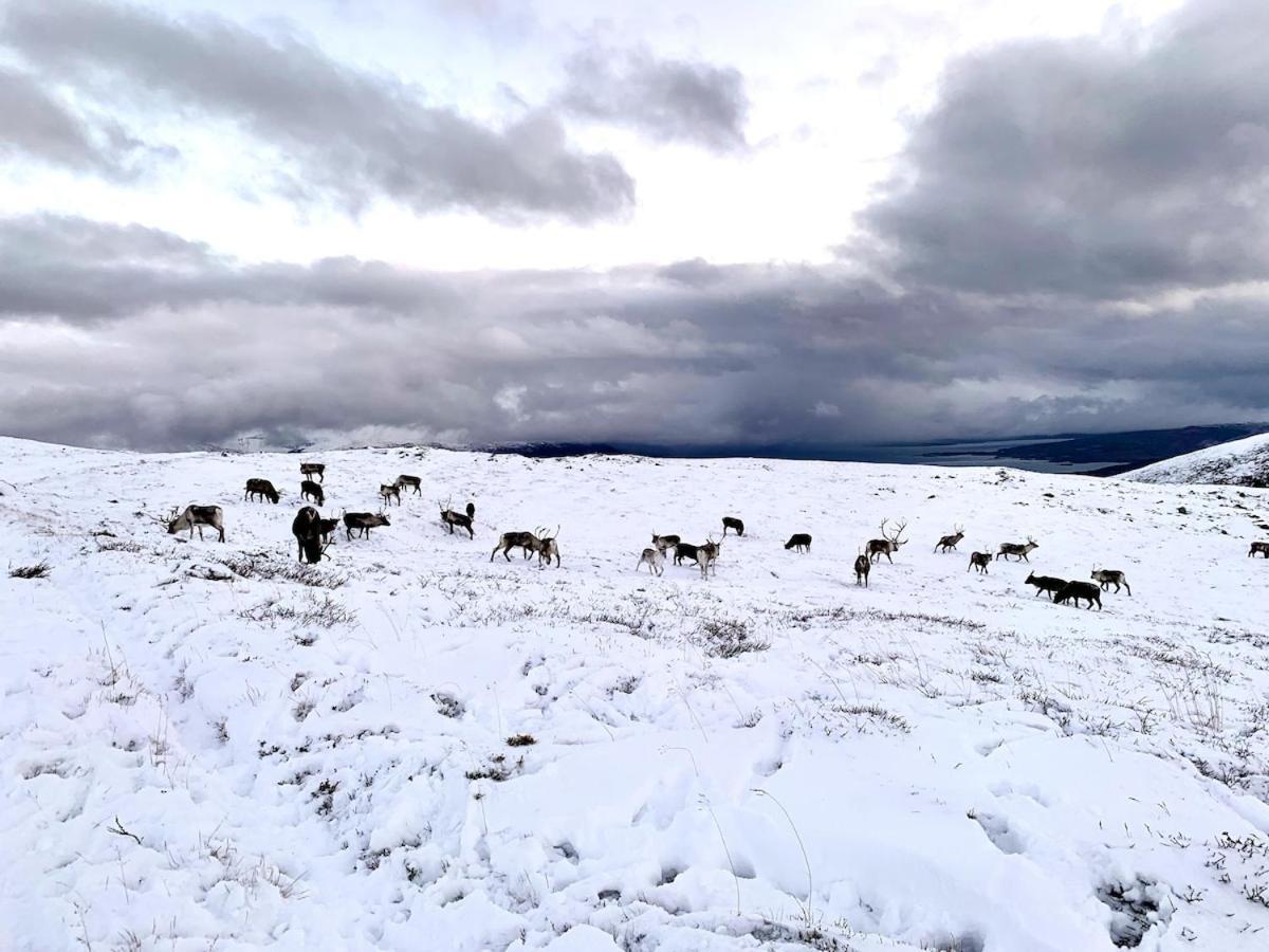 Panorama Storelva *