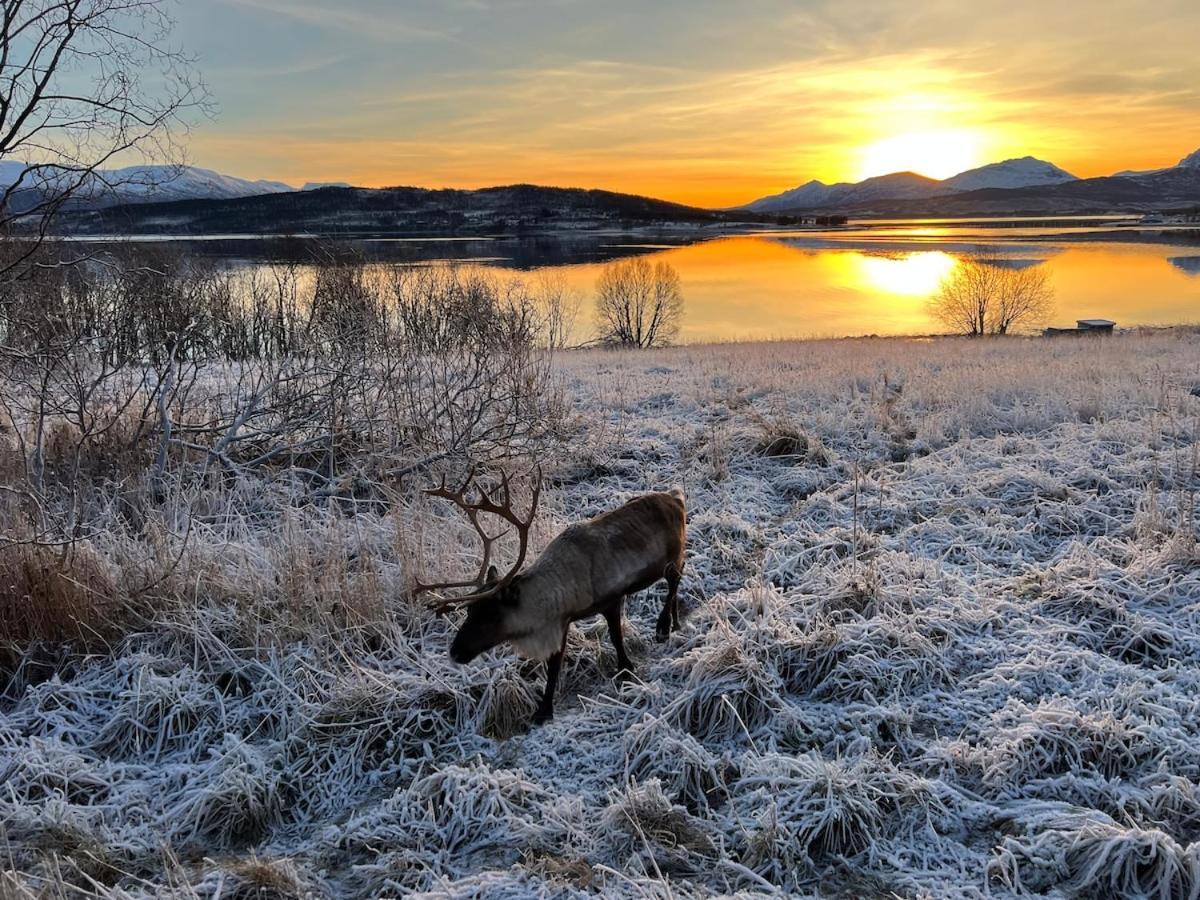 Panorama Storelva Tromso