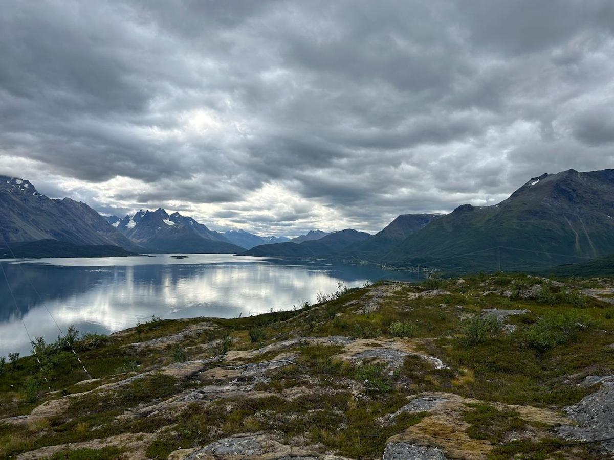 Sjursnes, Lyngen Alps, Aurora Borealis Tromso