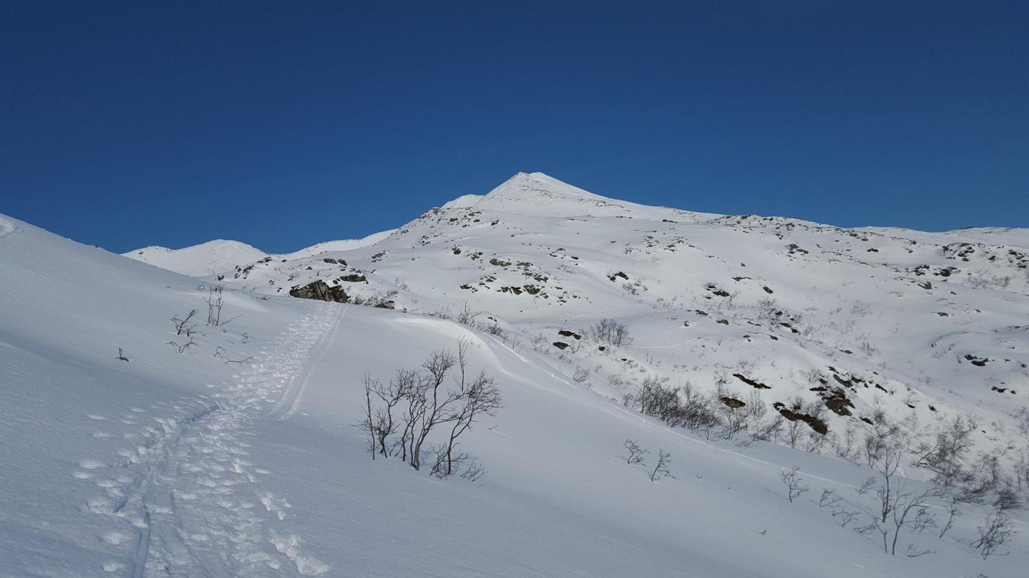 Bjornvika Holiday home Tromso