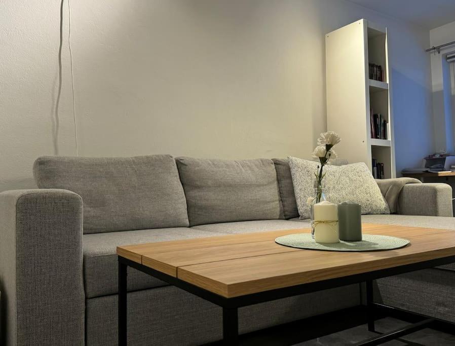 Apartment Sentralt I Med Parkering, Egen Inngang *