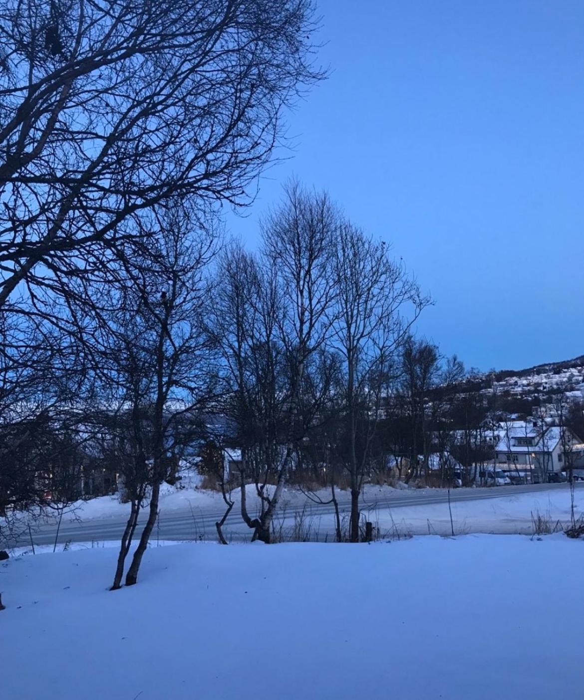 Wonderful With Sauna * Tromso