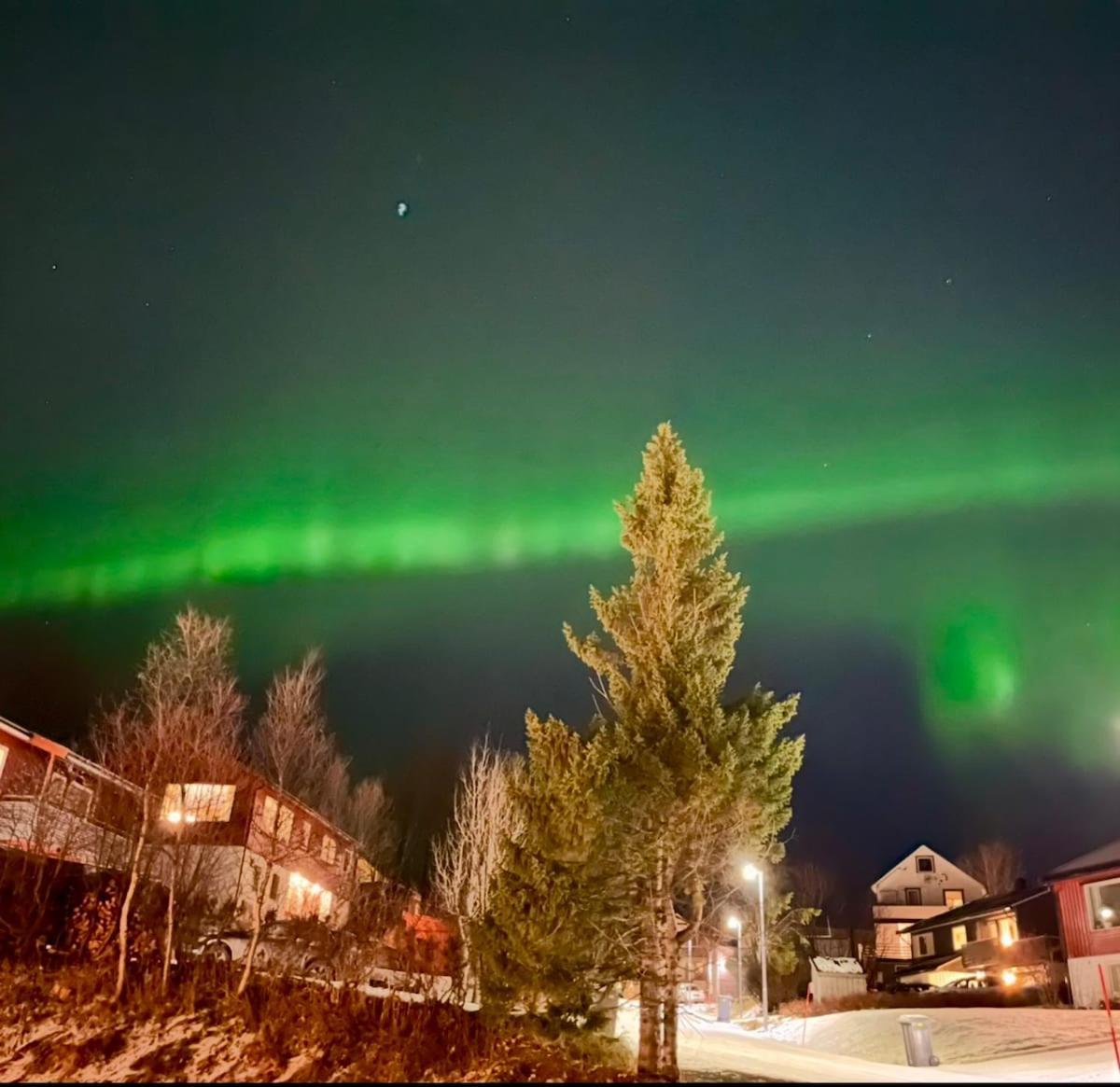 Apartment New In Tromso, With Free Parking *