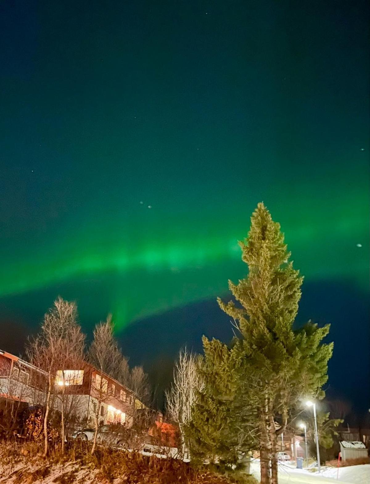 Apartment New In Tromso, With Free Parking Tromso