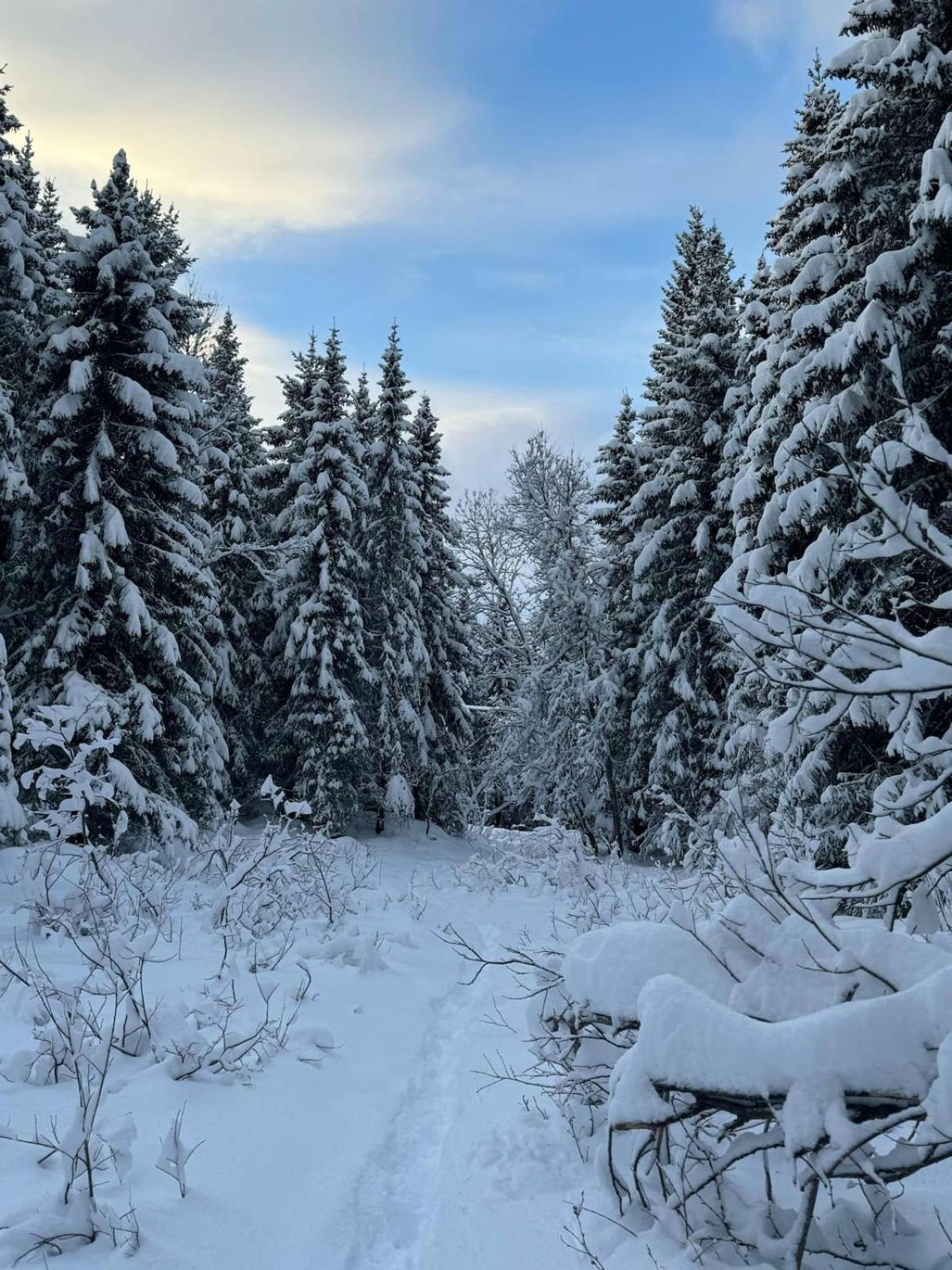 New In Tromso, With Free Parking