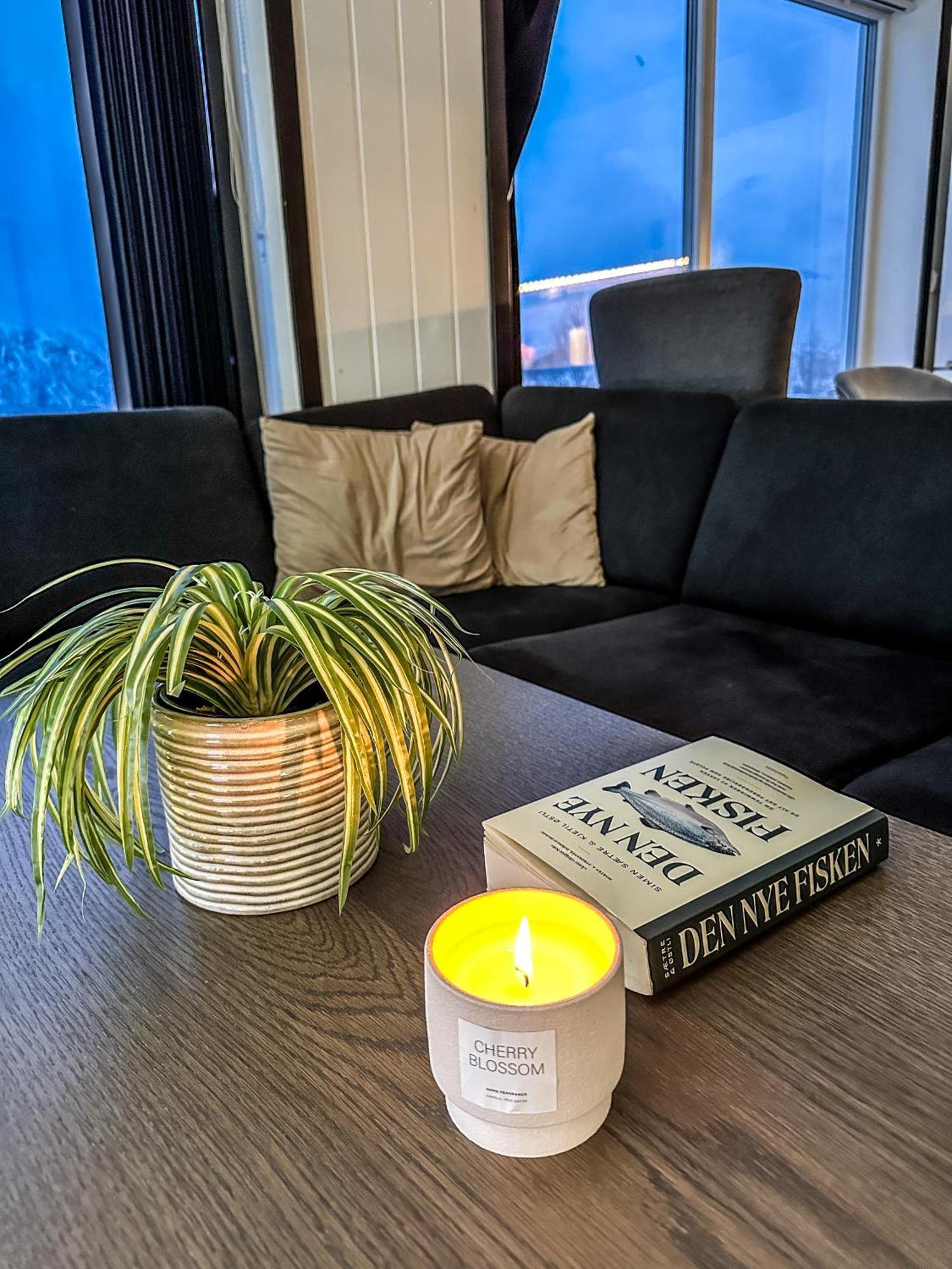 Apartment Modern Fjord View