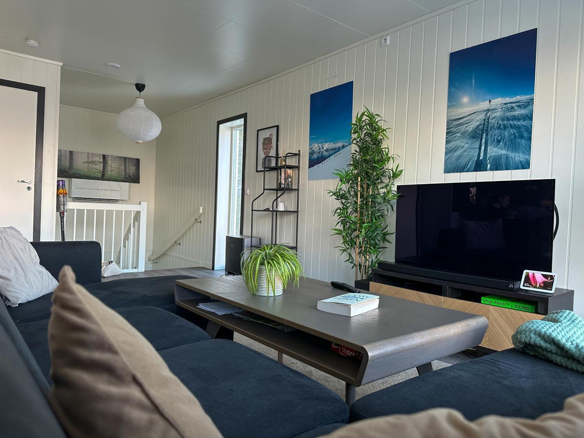Modern Fjord View