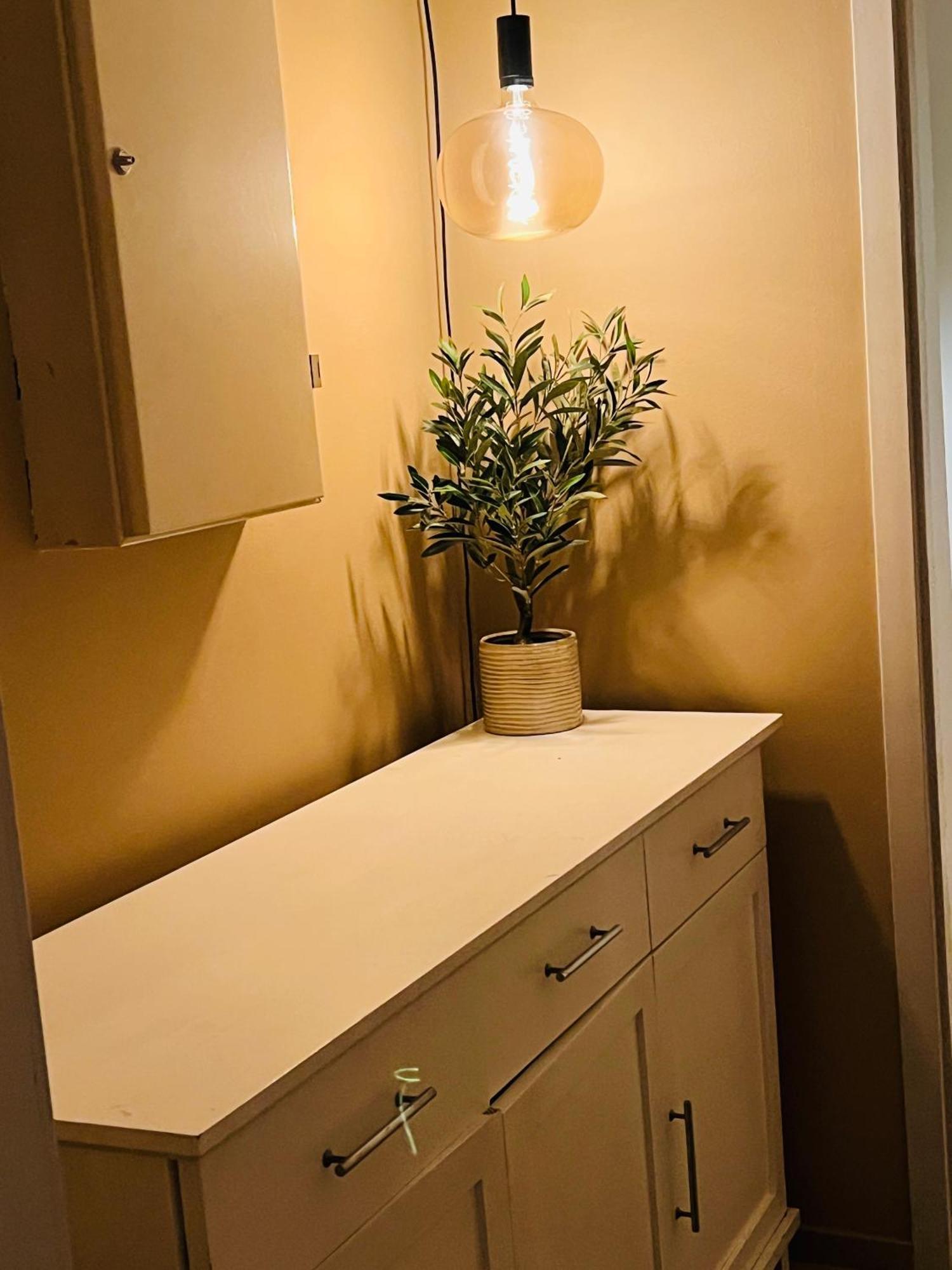Apartment Cozy