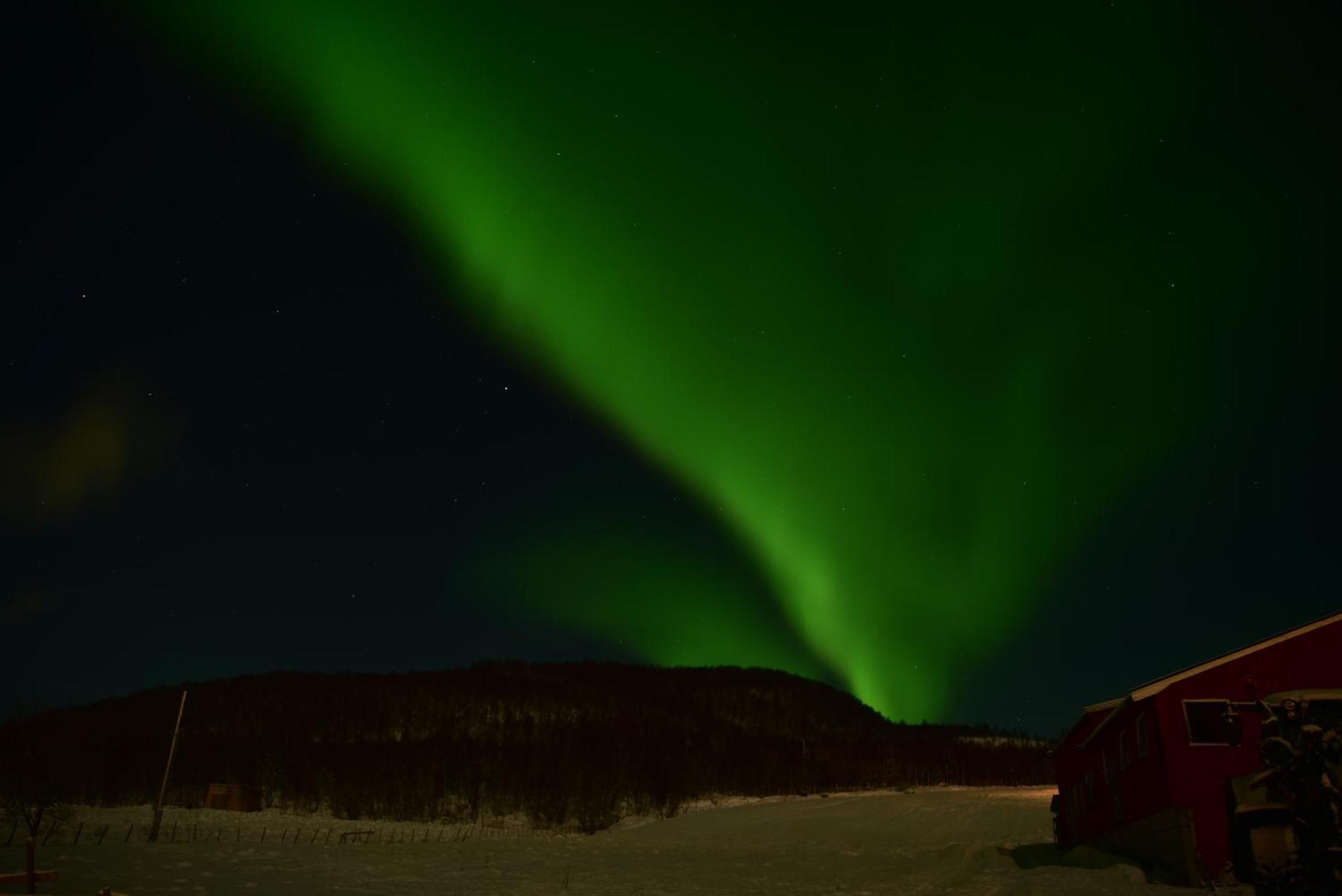 Near The Sea * Tromso