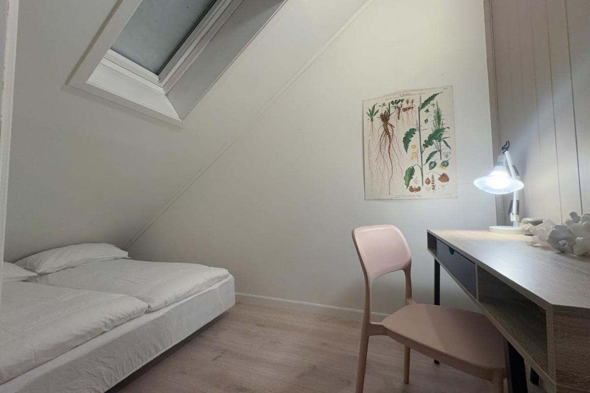 Apartment Cozy And Loft In *