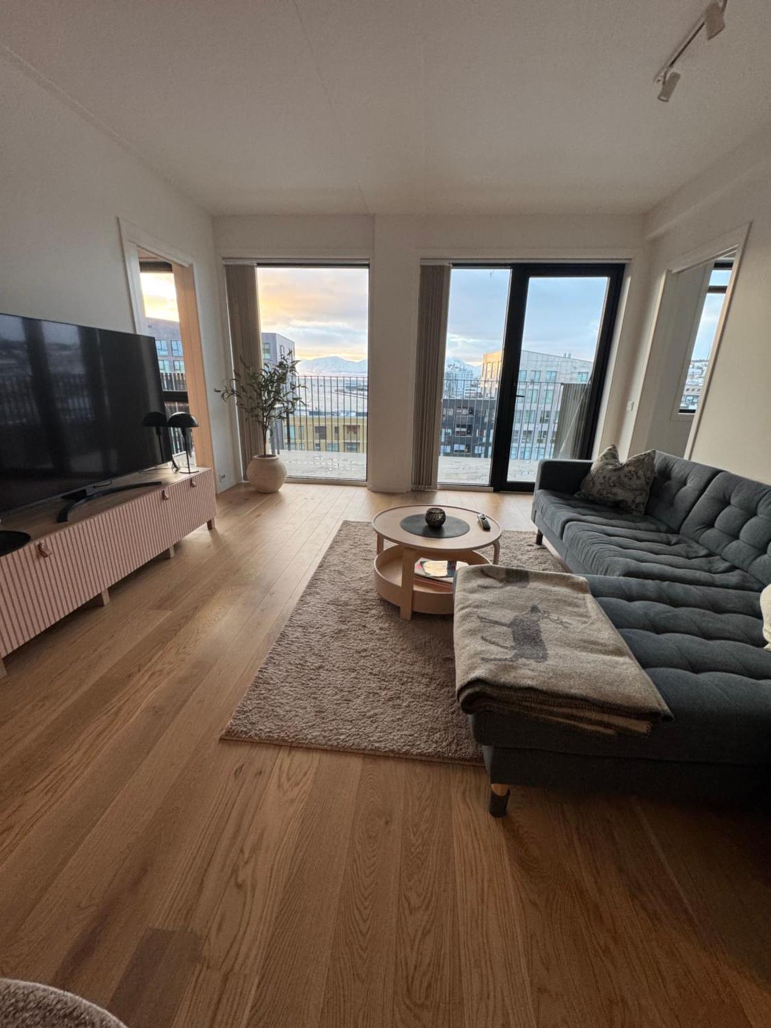 The Arctic Explorer Exclusive Apartment Tromso
