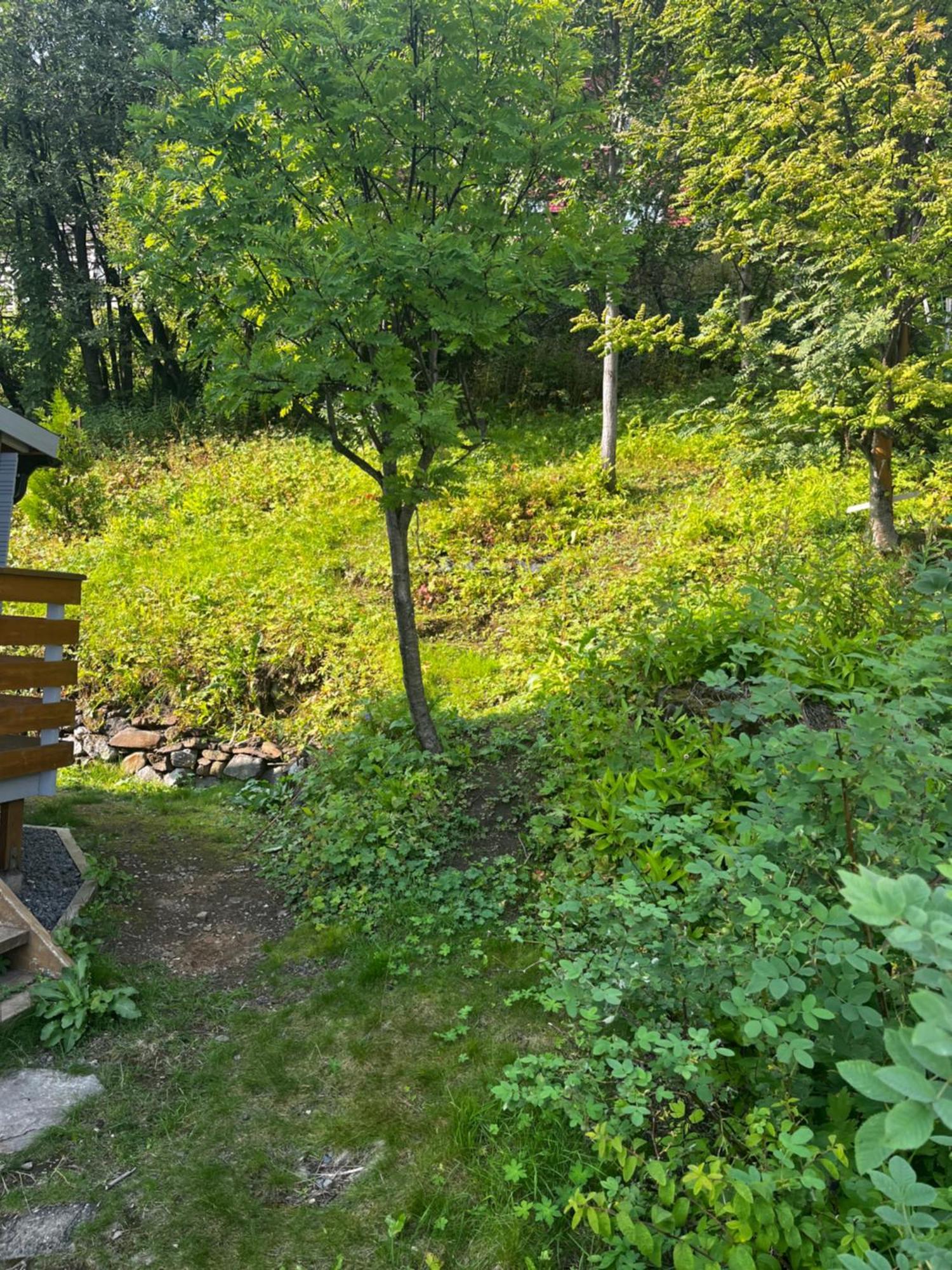 Holiday home Cozy Place In A Location - Feel At Right Away! Tromso