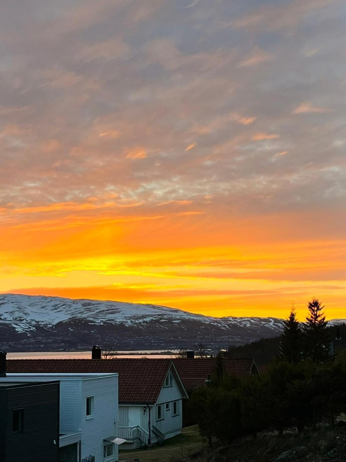 Modern In Tromsø