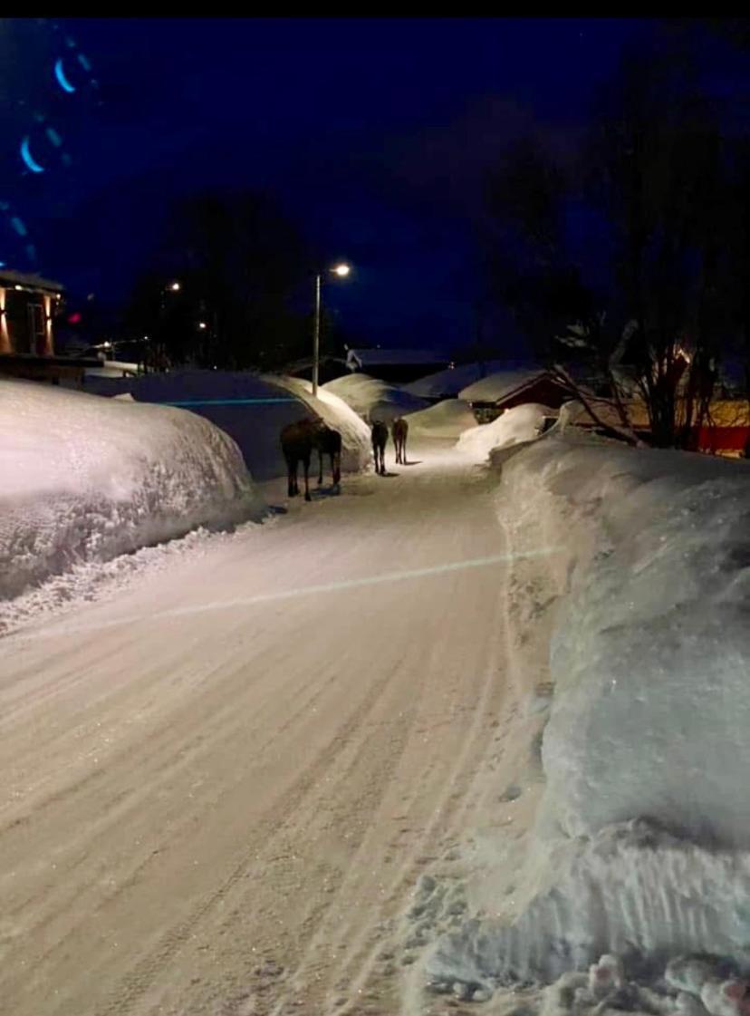 Casa Tromso