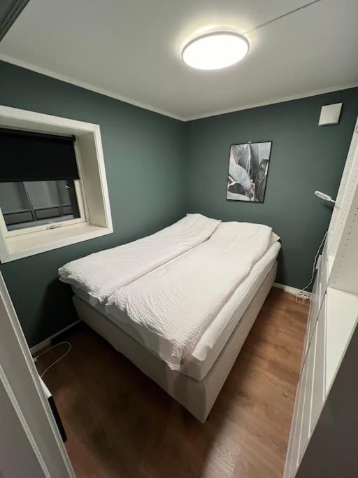 Appartement I Sentrum Av *