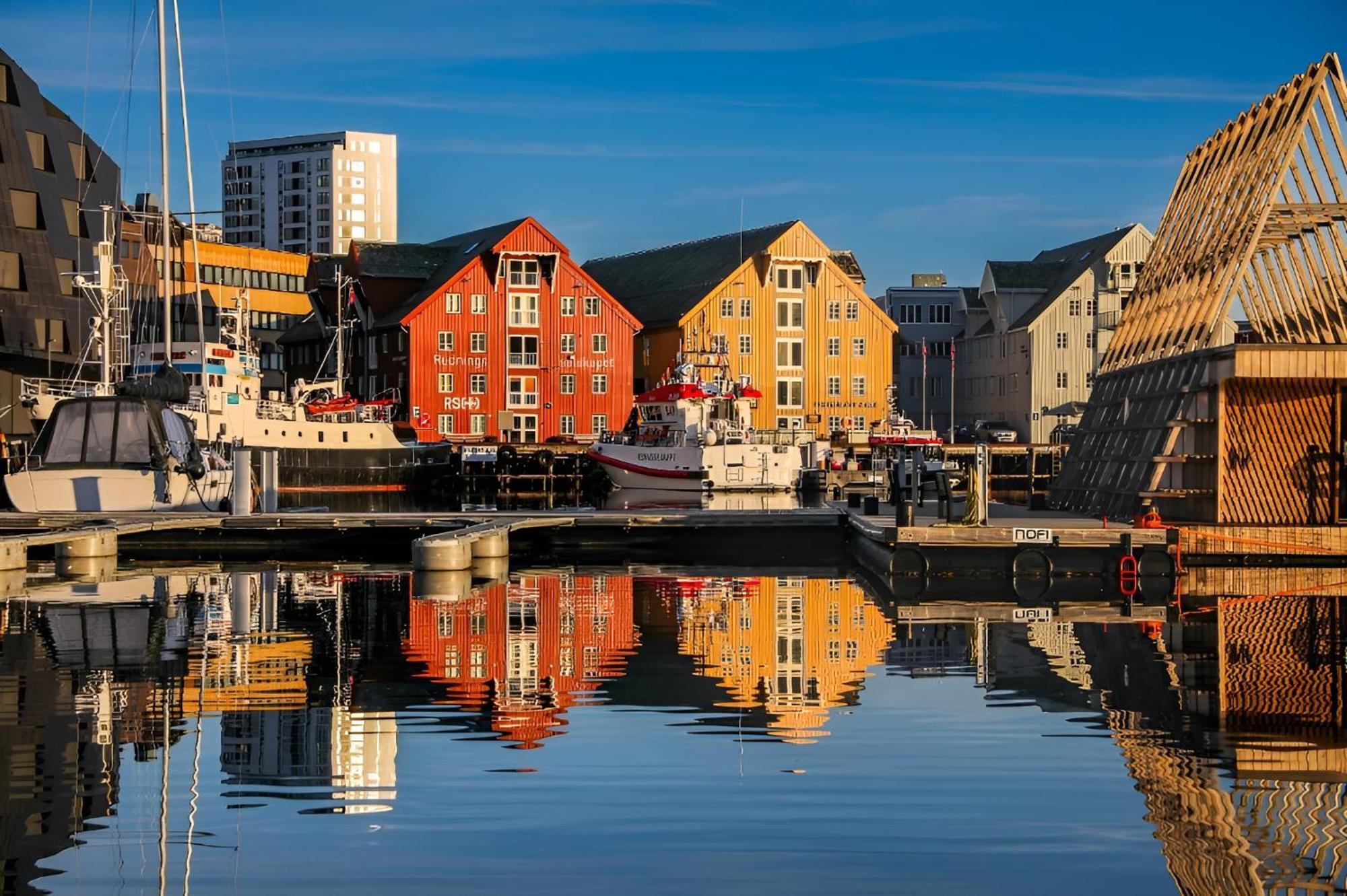 Cozy Arctic - With Free Parking *