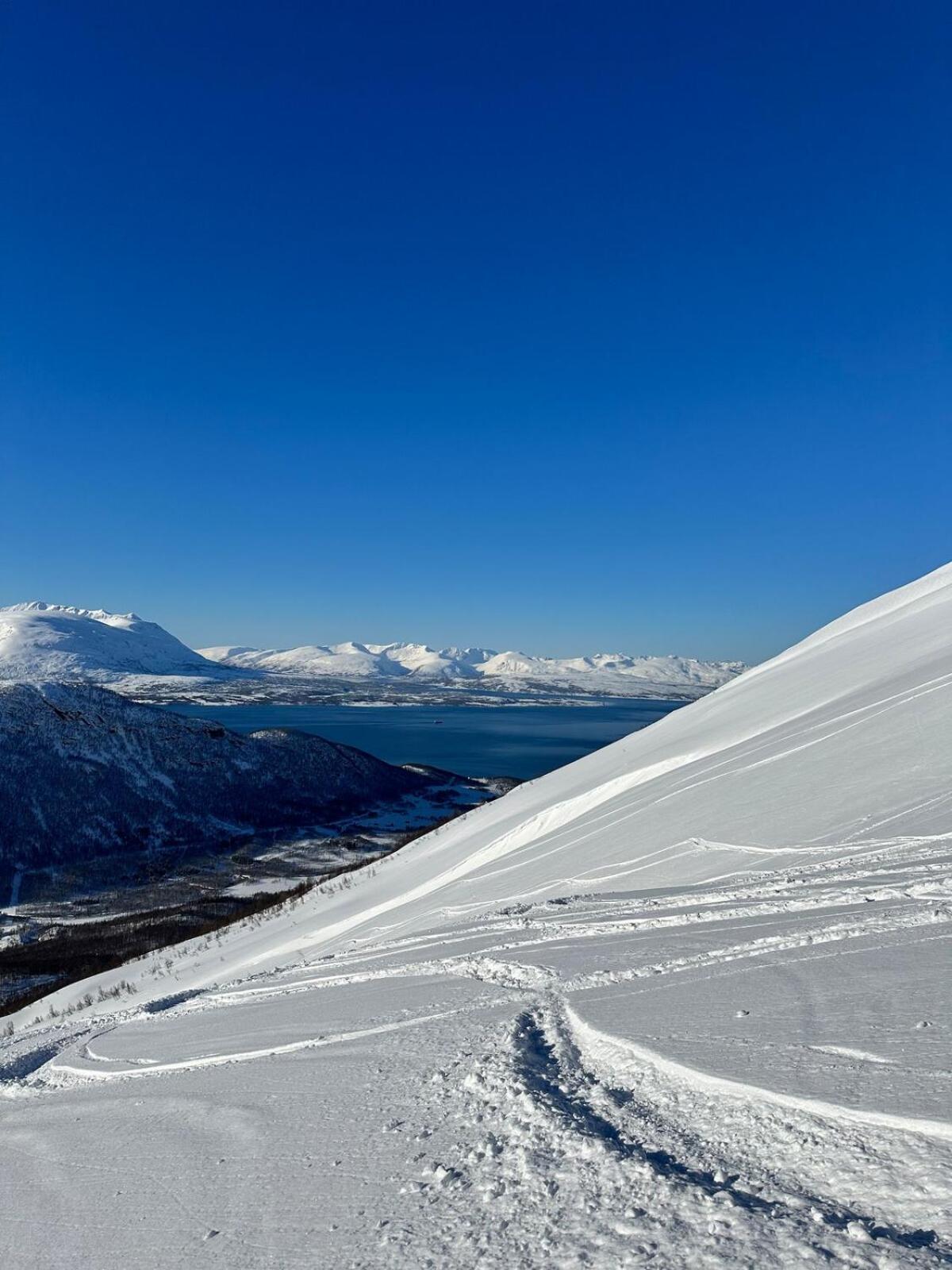 Nature Escape Apartment Tromso