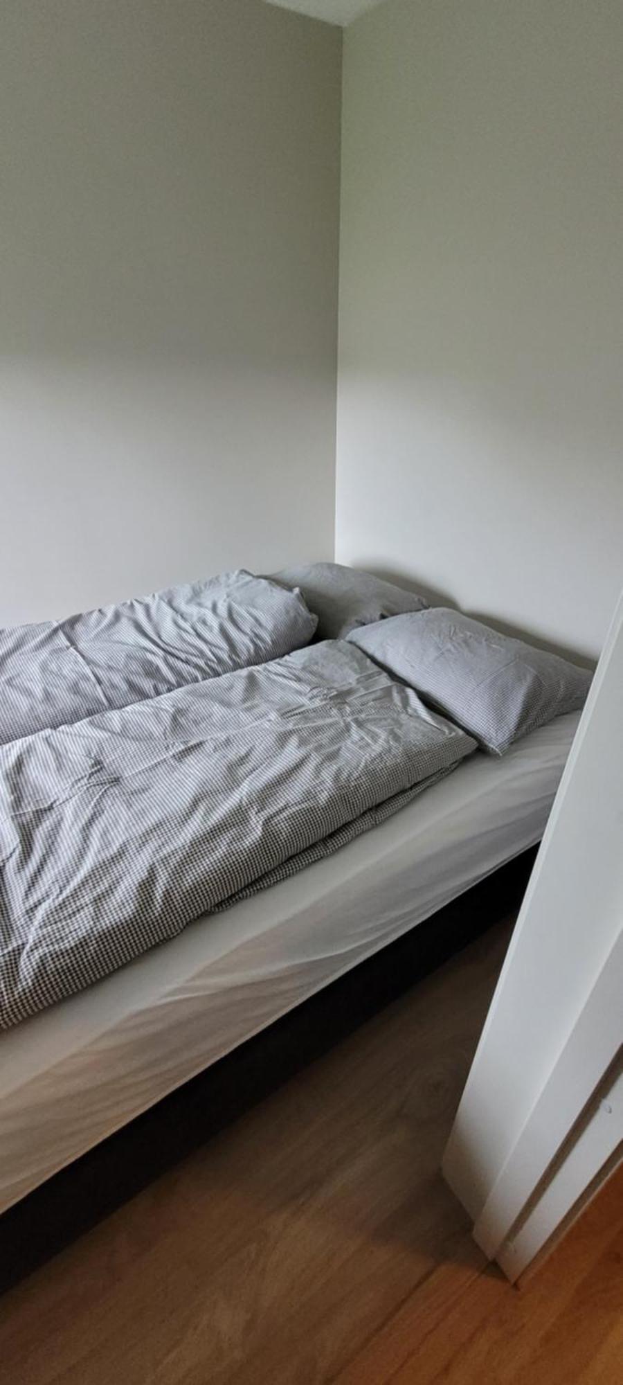 Apartment Newly Renovated With Separate Entrance *