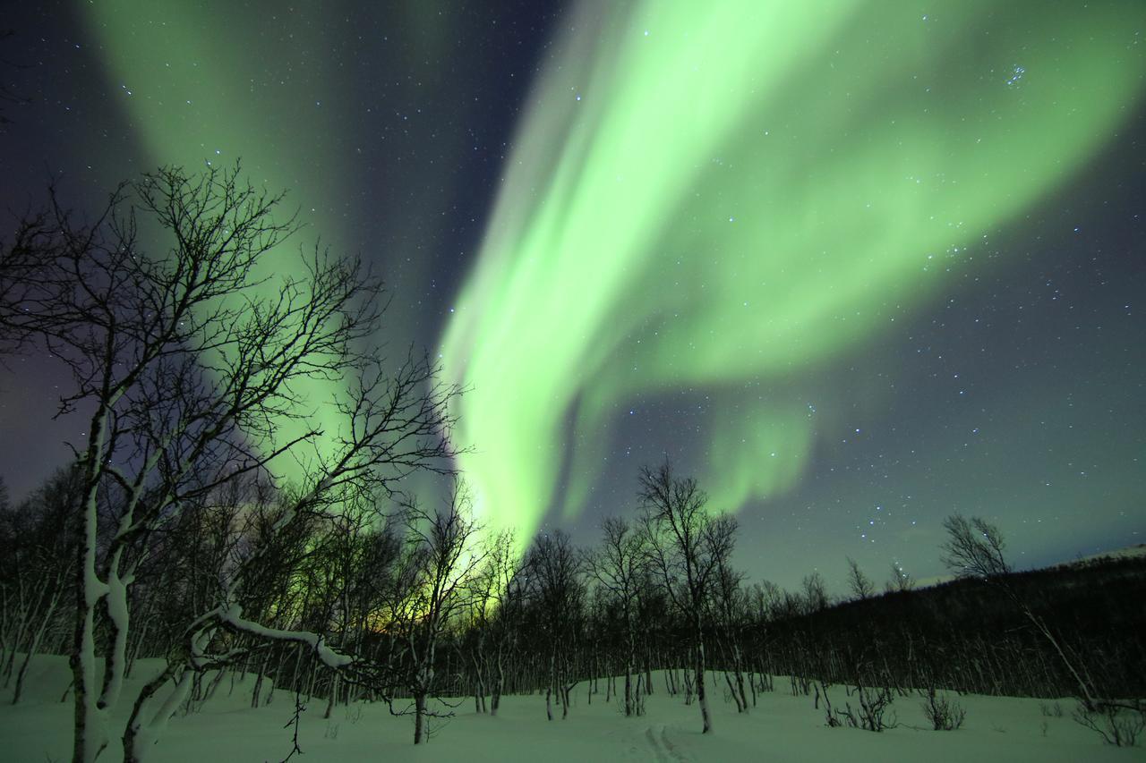 Polar Cabin * Tromso