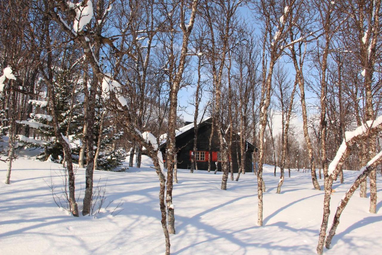 Polar Cabin Chalet *
