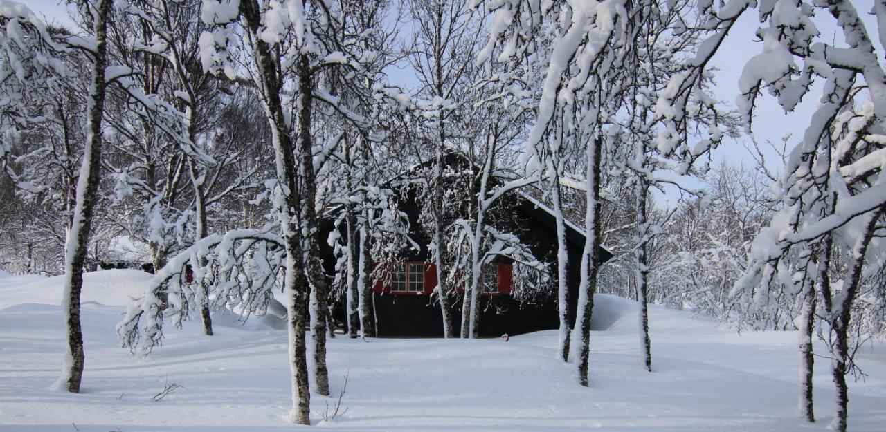 Polar Cabin *