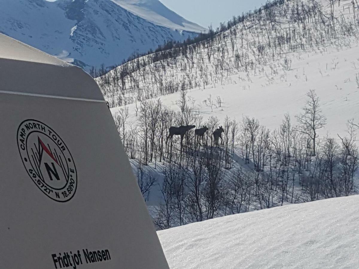 Camp North Tour * Tromsø
