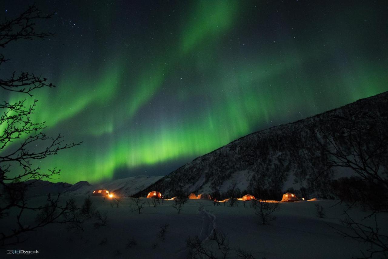 Camp North Tour Luxury tent Tromso
