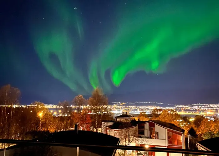 Northern Lights View