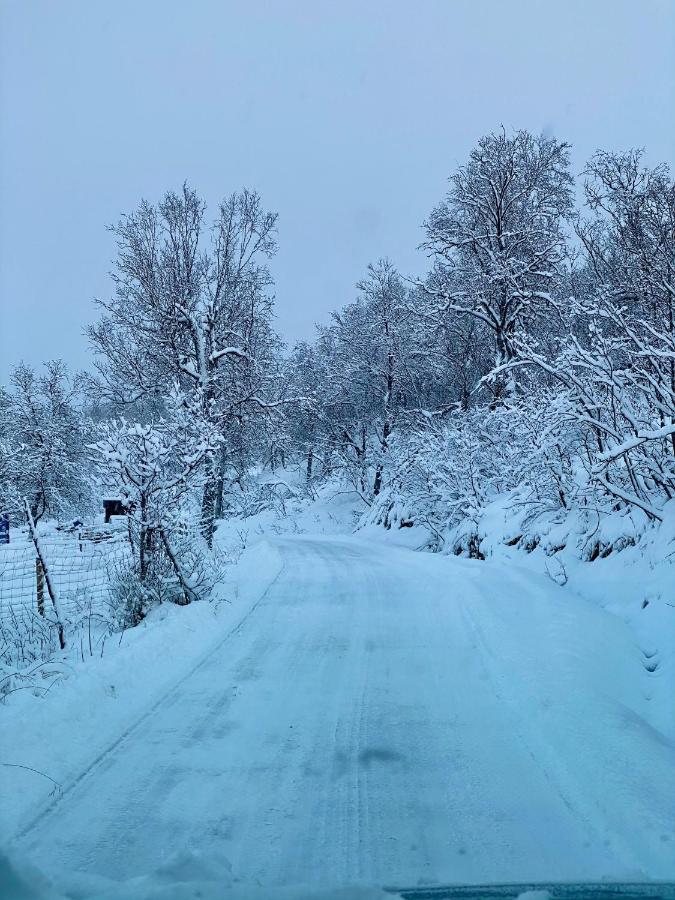 Håkøya Leilighet