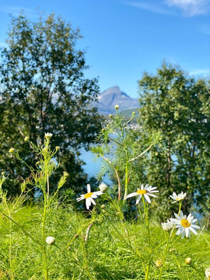 Håkøya Leilighet Tromsø