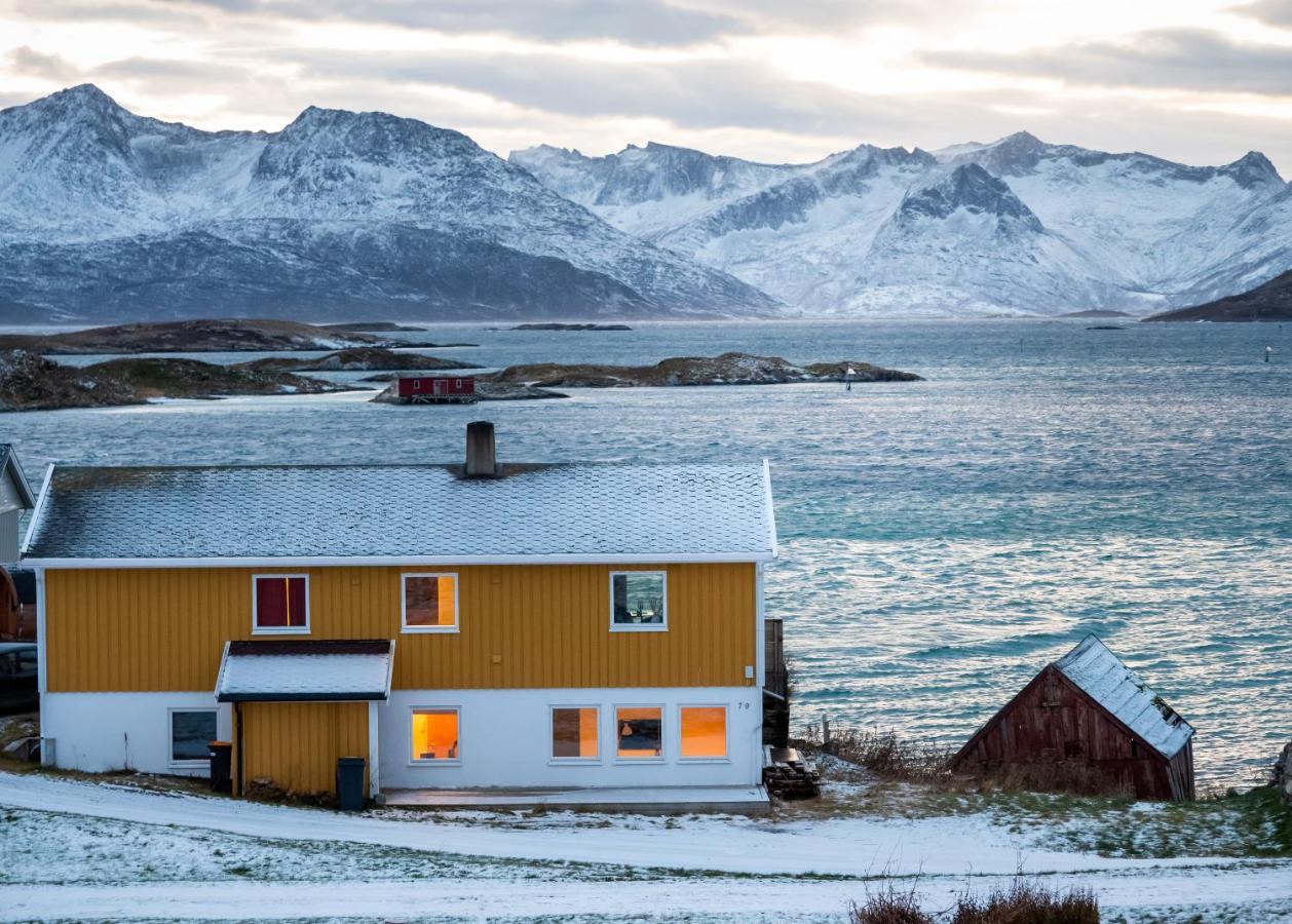 Sommaroya * Tromso