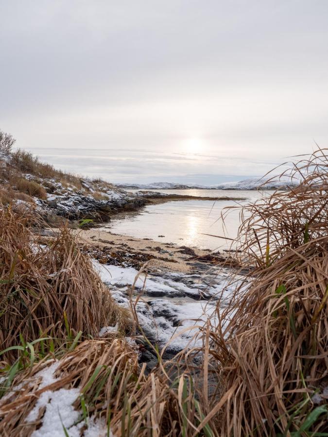 Sommaroya * Tromso