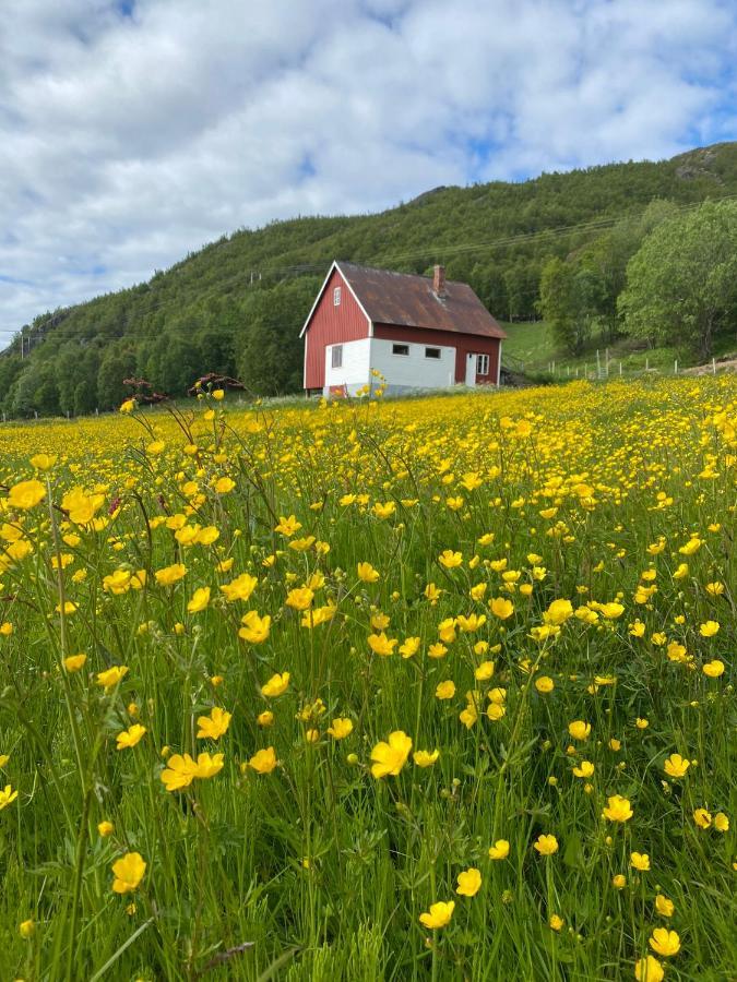 Unique And Charming With Fantastic Sea Views * Tromsø