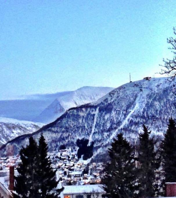 Close To Citycenter, 5 Beds. *
