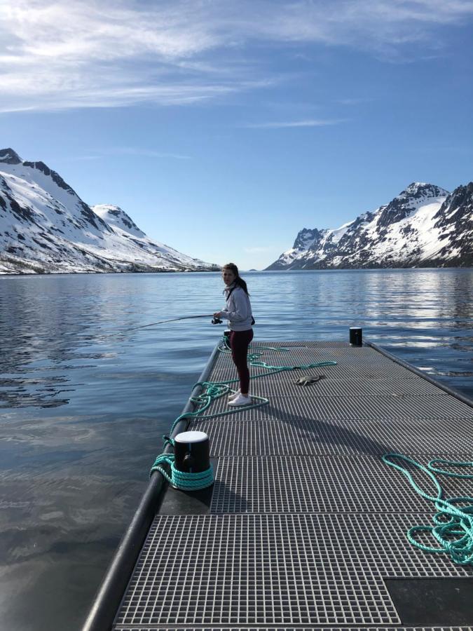 H Sweet H * Tromso